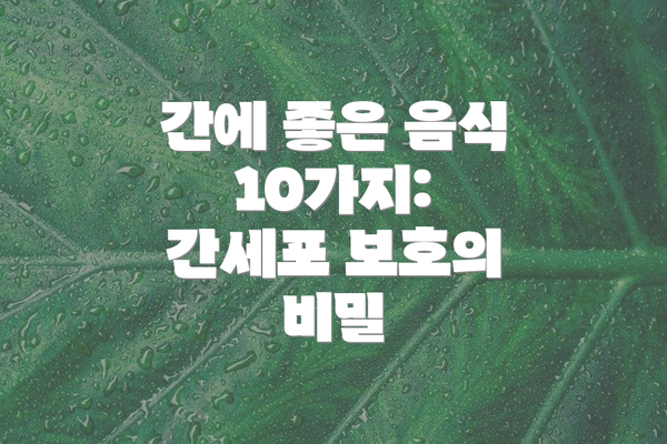 간에 좋은 음식 10가지: 간세포 보호의 비밀