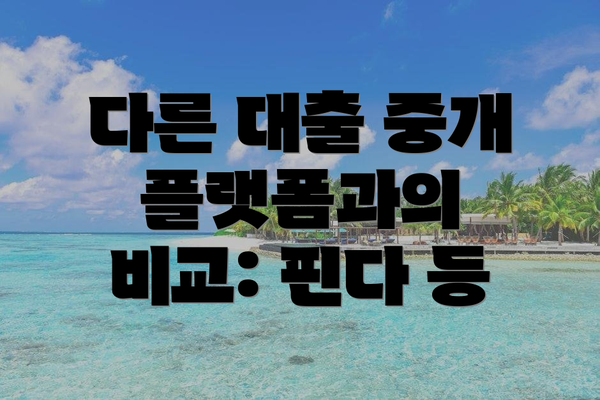 다른 대출 중개 플랫폼과의 비교: 핀다 등