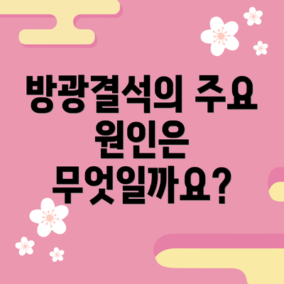 방광결석의 주요 원인은 무엇일까요?