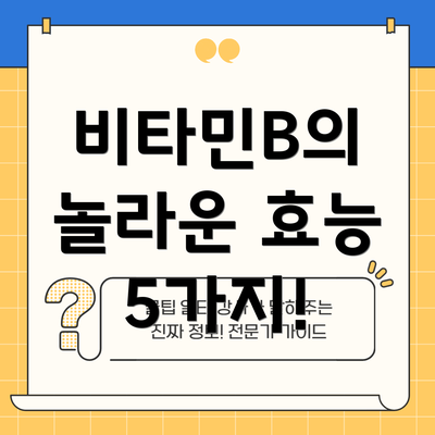 비타민B의 놀라운 효능 5가지!