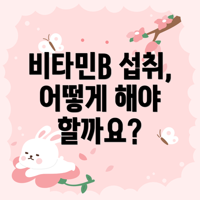 비타민B 섭취, 어떻게 해야 할까요?