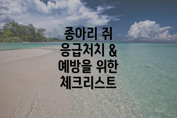 종아리 쥐 응급처치 & 예방을 위한 체크리스트