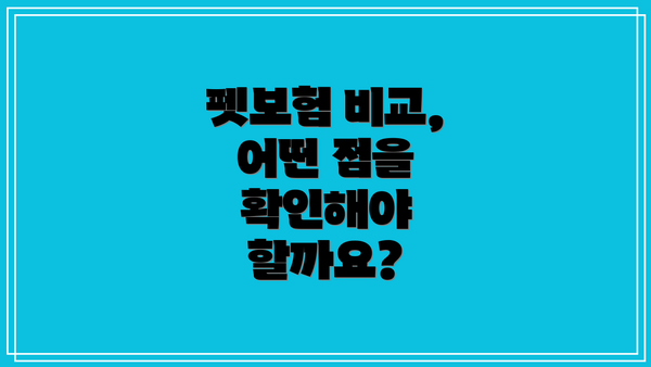 펫보험 비교, 어떤 점을 확인해야 할까요?