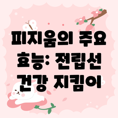피지움의 주요 효능: 전립선 건강 지킴이