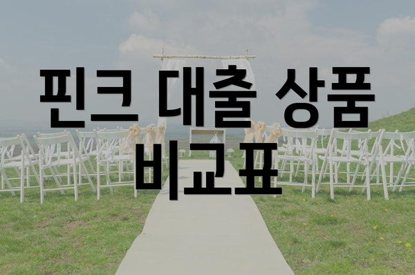 핀크 대출 상품 비교표
