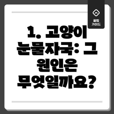 1. 고양이 눈물자국: 그 원인은 무엇일까요?