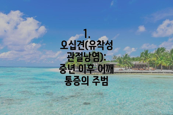 1. 오십견(유착성 관절낭염): 중년 이후 어깨 통증의 주범