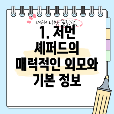 1. 저먼 셰퍼드의 매력적인 외모와 기본 정보