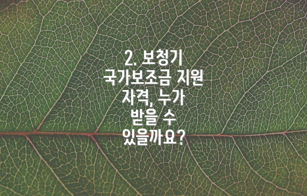 2. 보청기 국가보조금 지원 자격, 누가 받을 수 있을까요?
