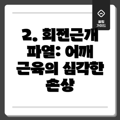 2. 회전근개 파열: 어깨 근육의 심각한 손상