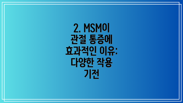 2. MSM이 관절 통증에 효과적인 이유: 다양한 작용 기전