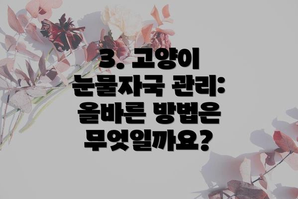 3. 고양이 눈물자국 관리: 올바른 방법은 무엇일까요?