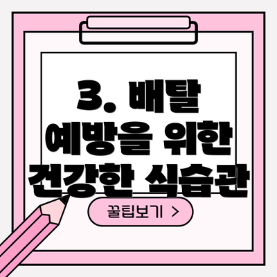 3. 배탈 예방을 위한 건강한 식습관