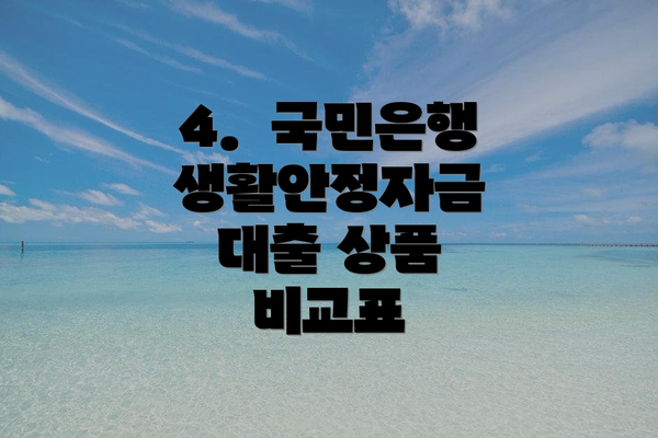 4.  국민은행 생활안정자금 대출 상품 비교표