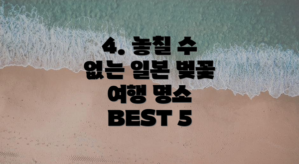 4. 놓칠 수 없는 일본 벚꽃 여행 명소 BEST 5