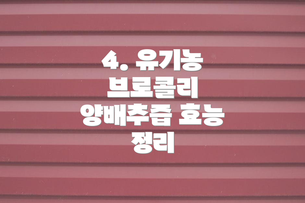 4. 유기농 브로콜리 양배추즙 효능 정리