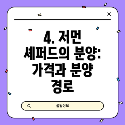 4. 저먼 셰퍼드의 분양: 가격과 분양 경로