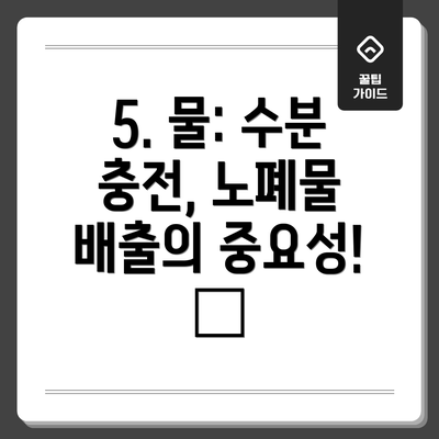 5. 물: 수분 충전, 노폐물 배출의 중요성! 💧