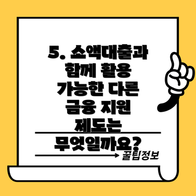 5. 소액대출과 함께 활용 가능한 다른 금융 지원 제도는 무엇일까요?