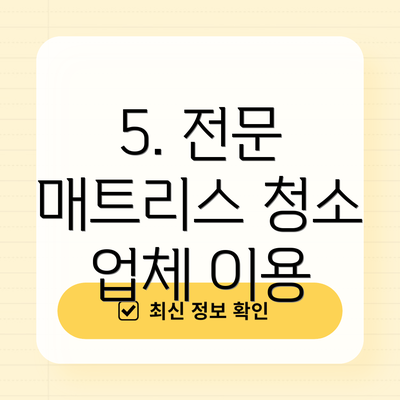 5. 전문 매트리스 청소 업체 이용