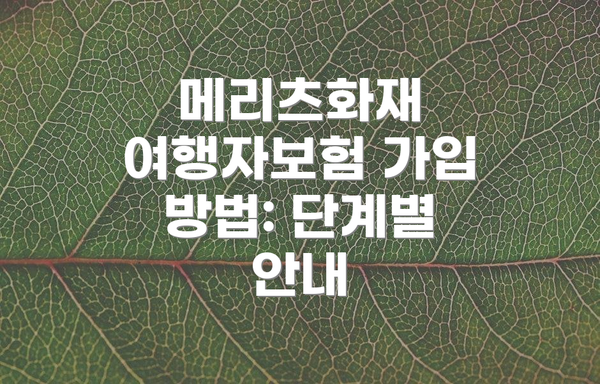 메리츠화재 여행자보험 가입 방법: 단계별 안내