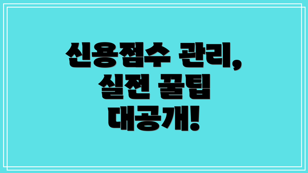 신용점수 관리, 실전 꿀팁 대공개!