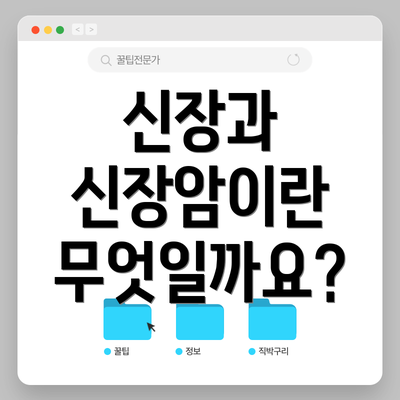 신장과 신장암이란 무엇일까요?