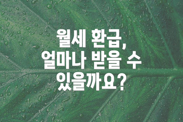 월세 환급, 얼마나 받을 수 있을까요?