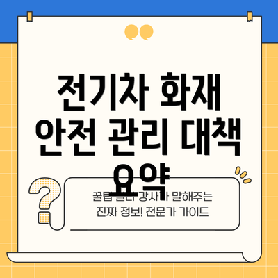 전기차 화재 안전 관리 대책 요약
