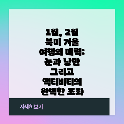 1월, 2월 북미 겨울 여행의 매력: 눈과 낭만 그리고 액티비티의 완벽한 조화