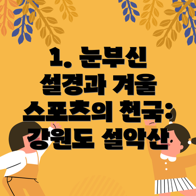 1. 눈부신 설경과 겨울 스포츠의 천국: 강원도 설악산