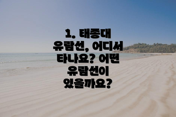 1. 태종대 유람선, 어디서 타나요? 어떤 유람선이 있을까요?