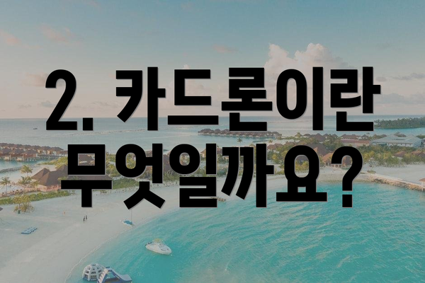 2. 카드론이란 무엇일까요?
