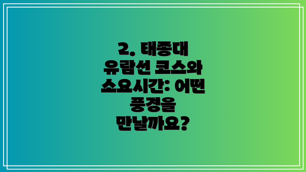 2. 태종대 유람선 코스와 소요시간: 어떤 풍경을 만날까요?