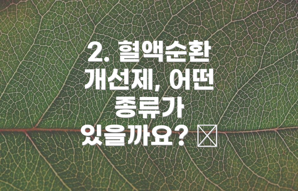 2. 혈액순환 개선제, 어떤 종류가 있을까요? 💊