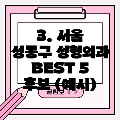3. 서울 성동구 성형외과 BEST 5 후보 (예시)