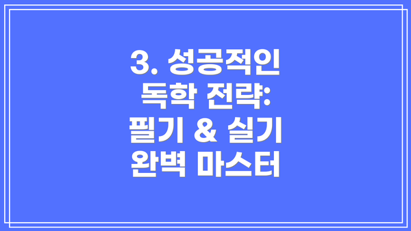 3. 성공적인 독학 전략:  필기 & 실기 완벽 마스터