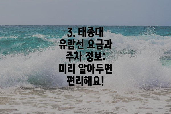 3. 태종대 유람선 요금과 주차 정보: 미리 알아두면 편리해요!