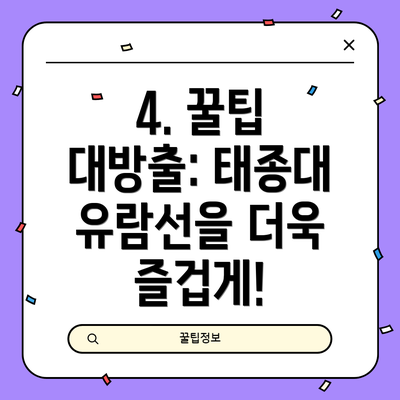 4. 꿀팁 대방출: 태종대 유람선을 더욱 즐겁게!