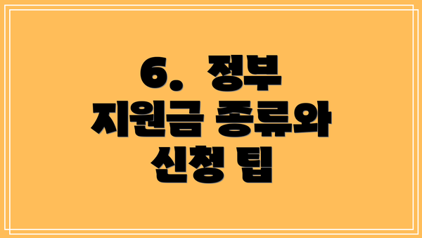 6.  정부 지원금 종류와 신청 팁