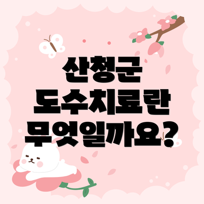산청군 도수치료란 무엇일까요?