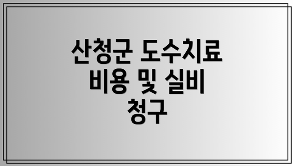 산청군 도수치료 비용 및 실비 청구