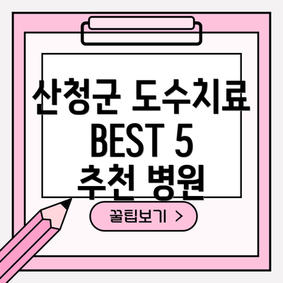 산청군 도수치료 BEST 5 추천 병원