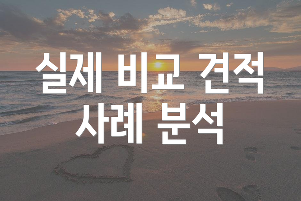 실제 비교 견적 사례 분석