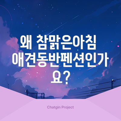왜 참맑은아침 애견동반펜션인가요?