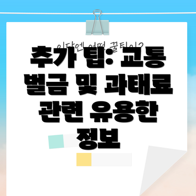 추가 팁: 교통 벌금 및 과태료 관련 유용한 정보