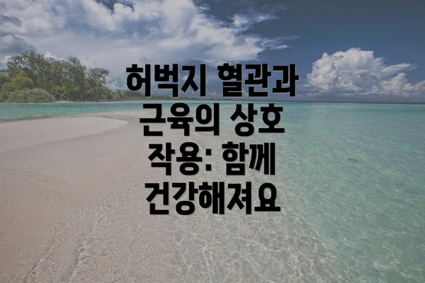 허벅지 혈관과 근육의 상호 작용: 함께 건강해져요