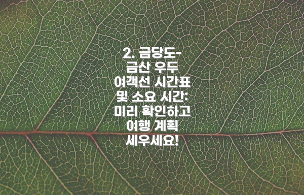 2. 금당도-금산 우두 여객선 시간표 및 소요 시간: 미리 확인하고 여행 계획 세우세요!
