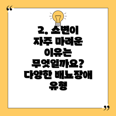 2. 소변이 자주 마려운 이유는 무엇일까요?  다양한 배뇨장애 유형