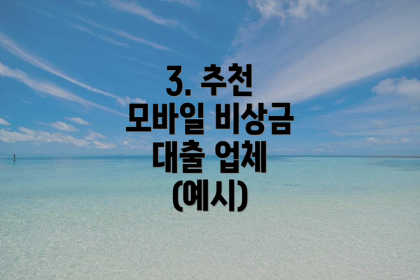3. 추천 모바일 비상금 대출 업체 (예시)